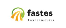 fastesmcinis